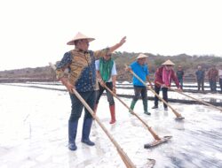 Bupati TTU Panen Perdana Garam di Lahan PT BMK