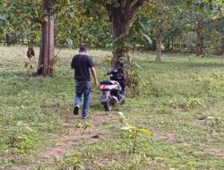 Grebek Sabung Ayam, Polres Belu Amankan Tiga Sepeda Motor