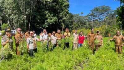 Lasiolat Siap Pasok Wortel untuk Kebutuhan MBG