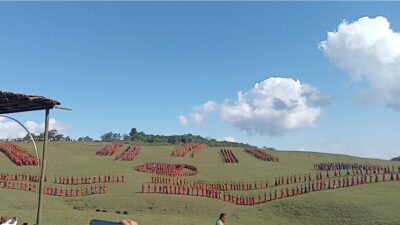 Mendagri: Panorama Sabana Fulan Fehan Karya Ciptaan Tuhan yang Tidak Dapat Dibuat Manusia