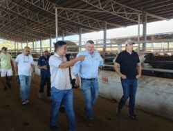 Ikut Darwin Fusion 2026, Bupati Belu Berharap Ada Kerja Sama Sister City Darwin dan Atambua