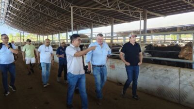 Ikut Darwin Fusion 2026, Bupati Belu Berharap Ada Kerja Sama Sister City Darwin dan Atambua