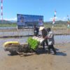 Genjot Penanaman Padi, Pemda Belu Optimis Swasembada Beras