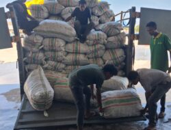 Tarif Bongkar Muat di TPS TBI Motaain Beratkan Importir